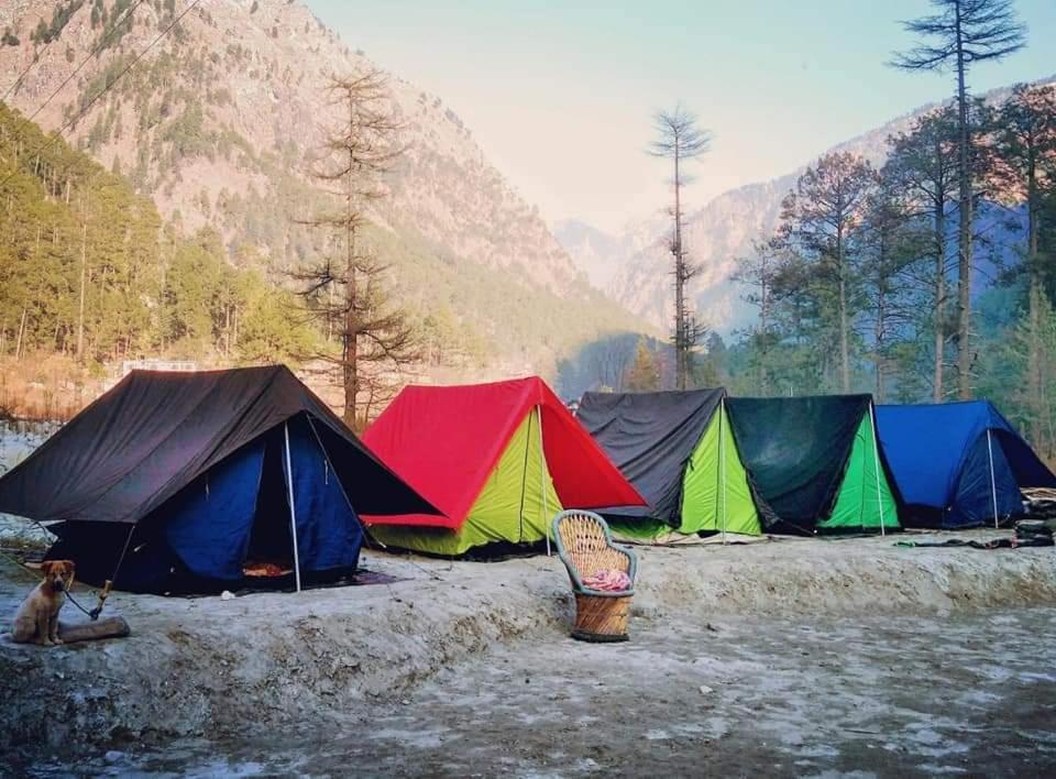 Stayhigh Camps & Cottages 卡索尔 外观 照片