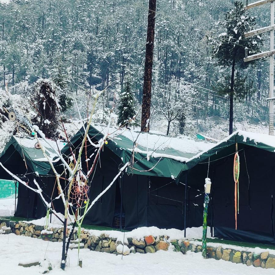 Stayhigh Camps & Cottages 卡索尔 外观 照片